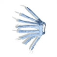 thumbnail image 3 of CORRILLADOR DE PELO ELÁSTICO DE LA CABEZA RODILLAS DE LAS MUJERES ROILLAS CURLING STICK RODAZA NATURAL RODAZA LARGO CORTO TRAMO THREP MEDIO HERRAMIENTA HERRAMIENTA AZUL Monstrate CE001279-02, 3 of 7