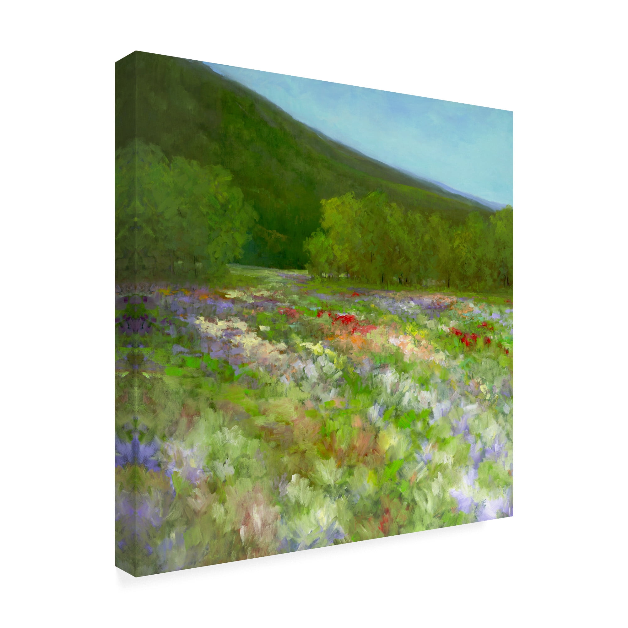 Trademark Fine Art 'Flowers of Half Moon Bay II' Canvas Art by Sheila Finch