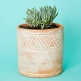 thumbnail image 3 of Cylindrical Terracotta Pot Set, 3 of 4