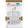 thumbnail image 2 of Nutrition Santé pour Races Chihuahua Chiot - Nourriture Sèche pour Chien 2,5 Lb, 2 of 5