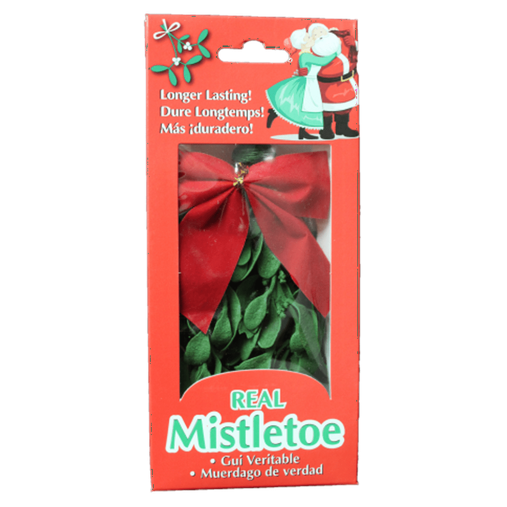 Fresh Mistletoe