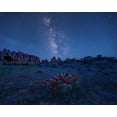 thumbnail image 2 of Xu, Mei 14x12 White Modern Wood Framed Museum Art Print Titled - Milky Way Over Blooming Cactus In Needles District, 2 of 4
