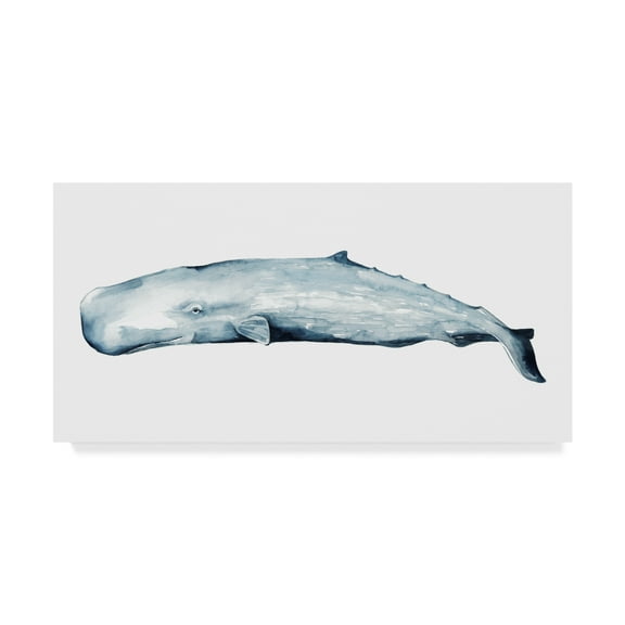 Trademark Fine Art 'Whale Portrait II' Canvas Art by Grace Popp