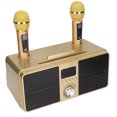 thumbnail image 4 of Altavoz Bluetooth SD‑309 resistente a caídas de 100 Hz a 18 KHz, máquina de karaoke de 10 m/32,8 pies con 2 micrófonos inalámbricos, 4 of 12