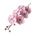 thumbnail image 1 of Cheers Decorative Artificial Flower Fresh Keeping Aesthetic 6 Heads Simulation Phalaenopsis Home Decor, 1 of 7