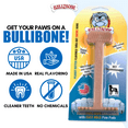 thumbnail image 4 of Bullibone Peanut Butter Nylon Dog Bone Toy Nylon - Improves Dental Hygiene, Easy to Grip Bottom, and Permeated with Flavor - 2 Pack, 4 of 7