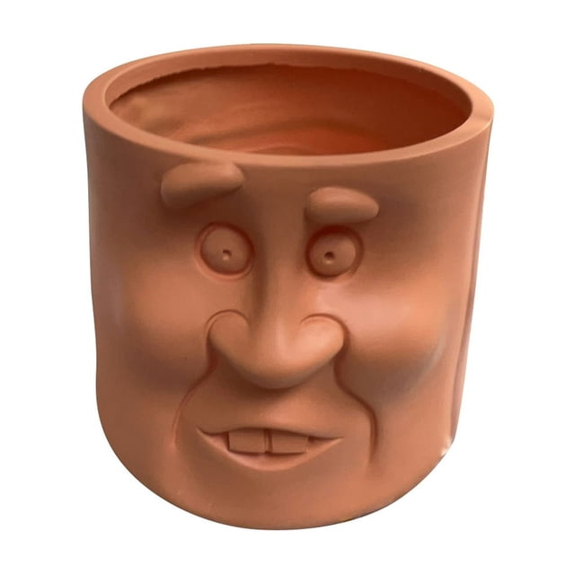 Price Drop Flower Pots Decorated With A Caricature Of A Face Funny Potted Resin Ornaments