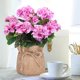 thumbnail image 5 of 2 cestas colgantes de flores artificiales de geranio de seda para decoración de porche | Plantas de geranio artificial de plástico realistas | Decoración para interiores y exteriores, hogar, jardín,, 5 of 6