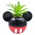 thumbnail image 1 of Maceta Decorativa Cerámica con Planta Artificial, Diseño Mickey Mouse en 3D, Maceta Decorativa para Hogar, Escuela u Oficina, 1 of 4