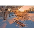 thumbnail image 2 of Jaynes Gallery 14x11 Gold Ornate Wood Framed with Double Matting Museum Art Print Titled - Canada-Manitoba-Winnipeg Hoarfrost at sunrise with bench, 2 of 4