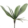 thumbnail image 1 of POINTERTECK Simulation Leaves Simulation Leaves Non-Wilting Fake Phalaenopsis Orchid Leaves Home Decor, 1 of 6
