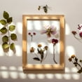 thumbnail image 5 of Uxcell 6x6 Wood Picture Frames, Double Sided Acrylic Plant Specimens Frame Natural Color, 5 of 5