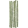Galapagos Mossy Sticks, 32in 6 Pcs Terrarium Habitat Décor Reptile