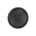 thumbnail image 1 of 12 Inch Guitar Speaker; 150W; 8 Ohms - SWAMPTHANG, 1 of 3