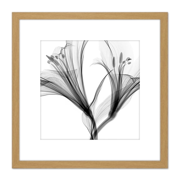 Schwartz NJIT Greyscale Flowers X-Ray Transparent Photo 8X8 Inch Square Wooden Framed Wall Art Print Picture with Mount