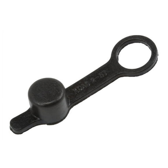 Rear Brake Bleeder Valve Cap