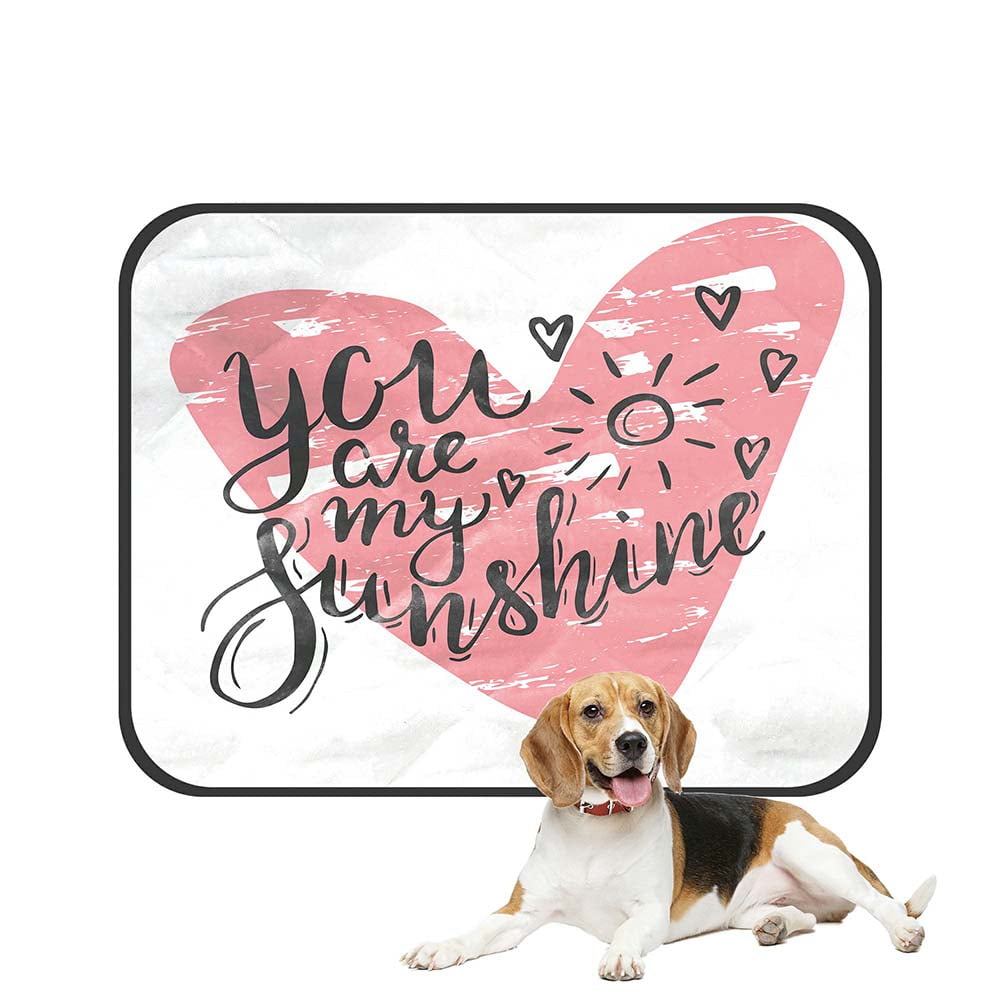 ABPHQTO You Are My Sunshine Pet Dog Cat Bed Pee Pads Mat Cushion Potty