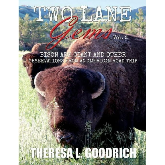 Two Lane Gems Two Lane Gems, Vol. 2: Bison are Giant and Other Observations from an American Road Trip, Book 2, (Paperback)