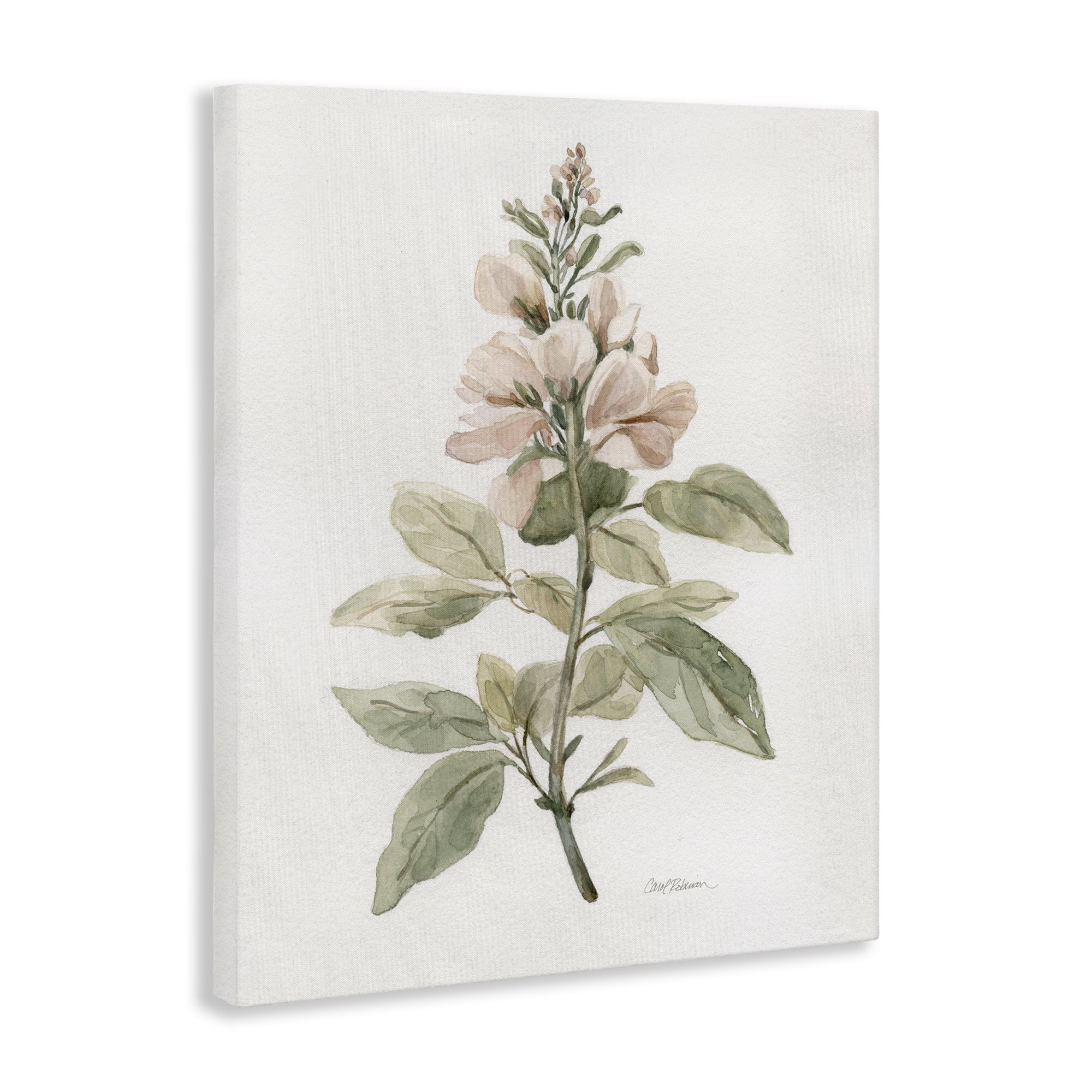 Stupell Industries Subtle Watercolor Botanicals Plants & Flowers Painting Wrapped Canvas Art Print Wall Art, 36 x 48