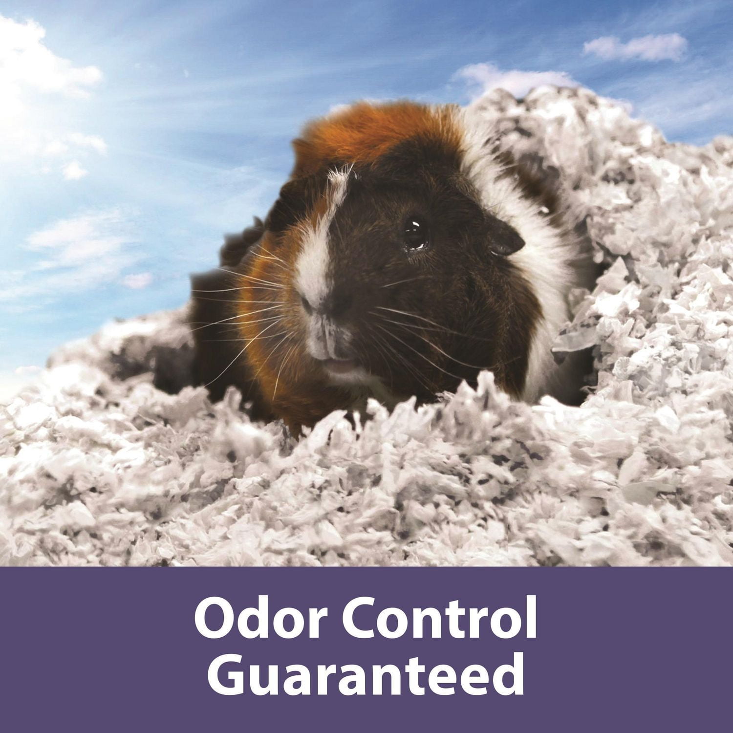 Kaytee Forti-Diet Clean Comfort Lavender Bedding, Lavender 24.6 Liters