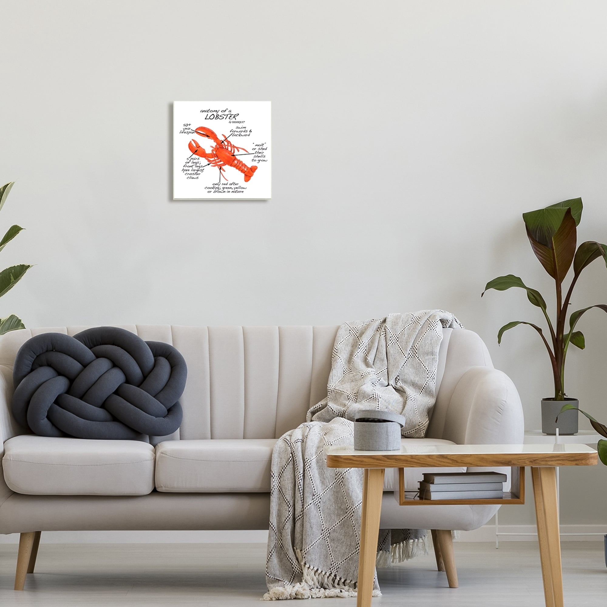Stupell Industries Lobster Anatomy Nautical Sea Life Learning Chart Graphic Art Unframed Art Print Wall Art, Design by Dishique