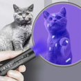 thumbnail image 2 of Dog And Cat Ringworm Detector Uv Ringworm Lamp Pet 365nm Fungus Test Light Cats Skin Ultraviolet Ringworm Fungus, 2 of 5