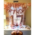 thumbnail image 3 of 74 Piece Rose Gold 17th Birthday Decorations For Girls, 17 Birthday Decorations For Girls, 17 Year Old Girl Gift Ideas, 17th Birthday Gifts For Girls, 17 Birthday Cake Topper, Balloons 17, 3 of 5