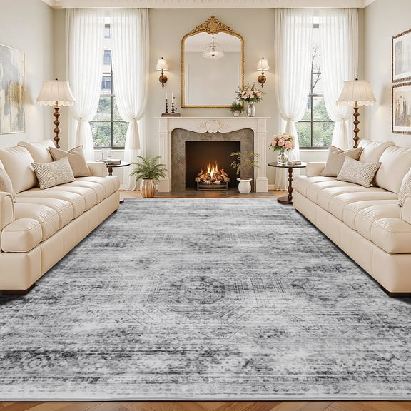 Suconsun Washable Area Rug 6x9 Large Soft Grey Rugs for Living Room