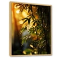 thumbnail image 2 of Designart "Sunset Photography With Bamboo V" Bamboo Floater Framed Canvas Prints, 2 of 5