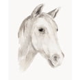 thumbnail image 2 of Warren, Annie 26x32 White Modern Wood Framed Museum Art Print Titled - Ivory Stallion I, 2 of 4