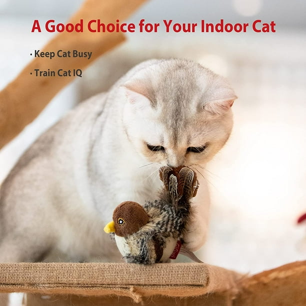 Gigwi cat toys sales