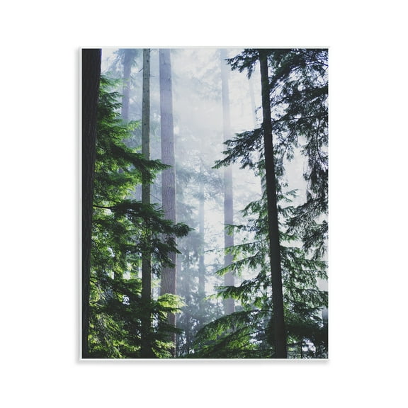 Stupell Industries Foggy Forest View Landscape Photography Unframed Art Print Wall Art, 11 x 14