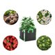 thumbnail image 4 of Bolsa De Cultivo De Plantas, Bolsa De Planta De Tela De Drenaje De Agua Portátil Alta Dureza Para Exteriores ANGGREK Otros, 4 of 8