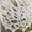 2*4m, variant on Halloween Spider Web Decorations, Large Spider Web, Halloween Outdoor Yard Party Decorations