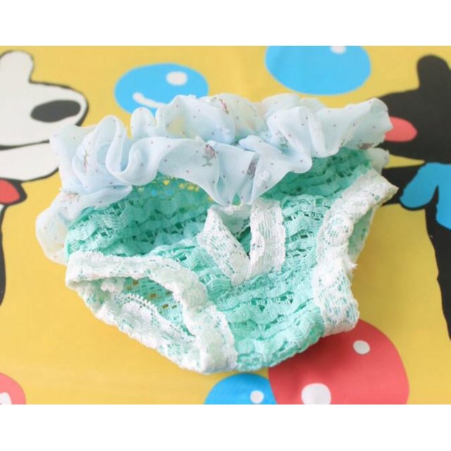 Pantalones fisiológicos para perros machos, pantalones menstruales de peluche, pantalones para perros, golden retriever, ropa interior de seguridad antiacoso para la menstruación de perras