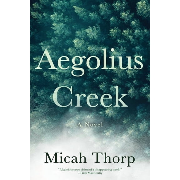 Aegolius Creek, (Paperback)