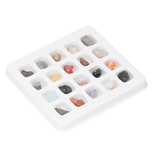 Colección Kids Rocks, 20 tipos de piedras preciosas de cristal, kit de piedras preciosas, kit de gemas minerales, construcción robusta