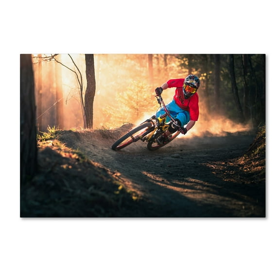 Trademark Fine Art 'Golden Bermed Corner' Canvas Art by Sandi Bertoncelj