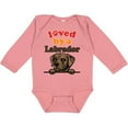 thumbnail image 3 of Inktastic Labrador Retriever Dog Gift Boys or Girls Long Sleeve Baby Bodysuit, 3 of 5