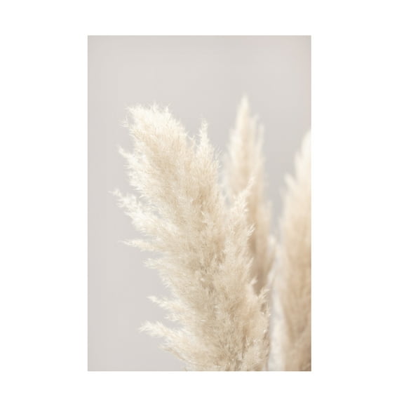 1x Studio III 'Pampas Grass Grey 03' Canvas Art
