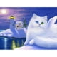 thumbnail image 1 of Pintura de diamante (DE6763) 5D DIY Night Cat Square Kit Mosaic Art Craft 40x50cm Hugtrwg Para estrenar, 1 of 1