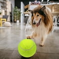 thumbnail image 4 of 9.5‘’ Oversize Giant Tennis Balls Inflatable Tennis Ball with Pump Dog Toy Balls For Signature, 4 of 8