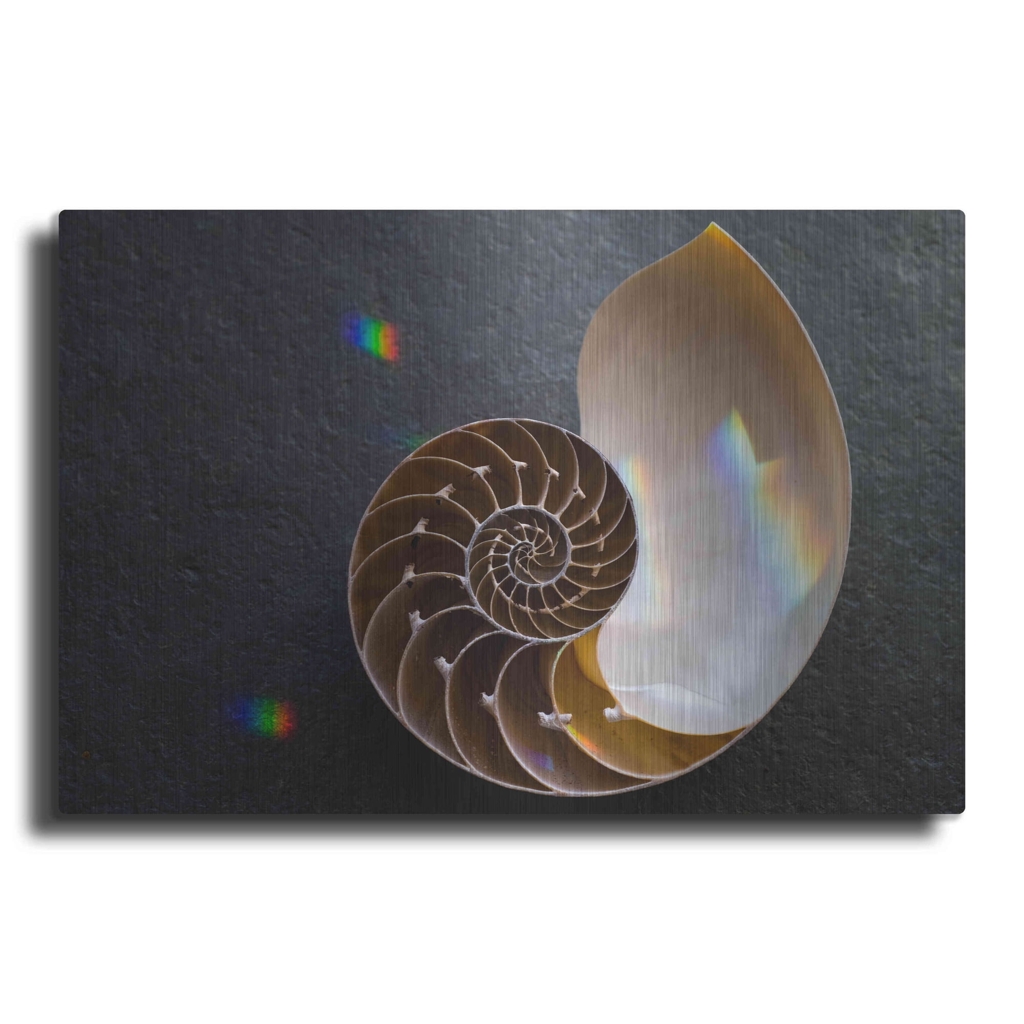 Luxe Metal Art Sacred Geometry Nautilus Shell by Elena Ray Metal Wall Art 36 x24