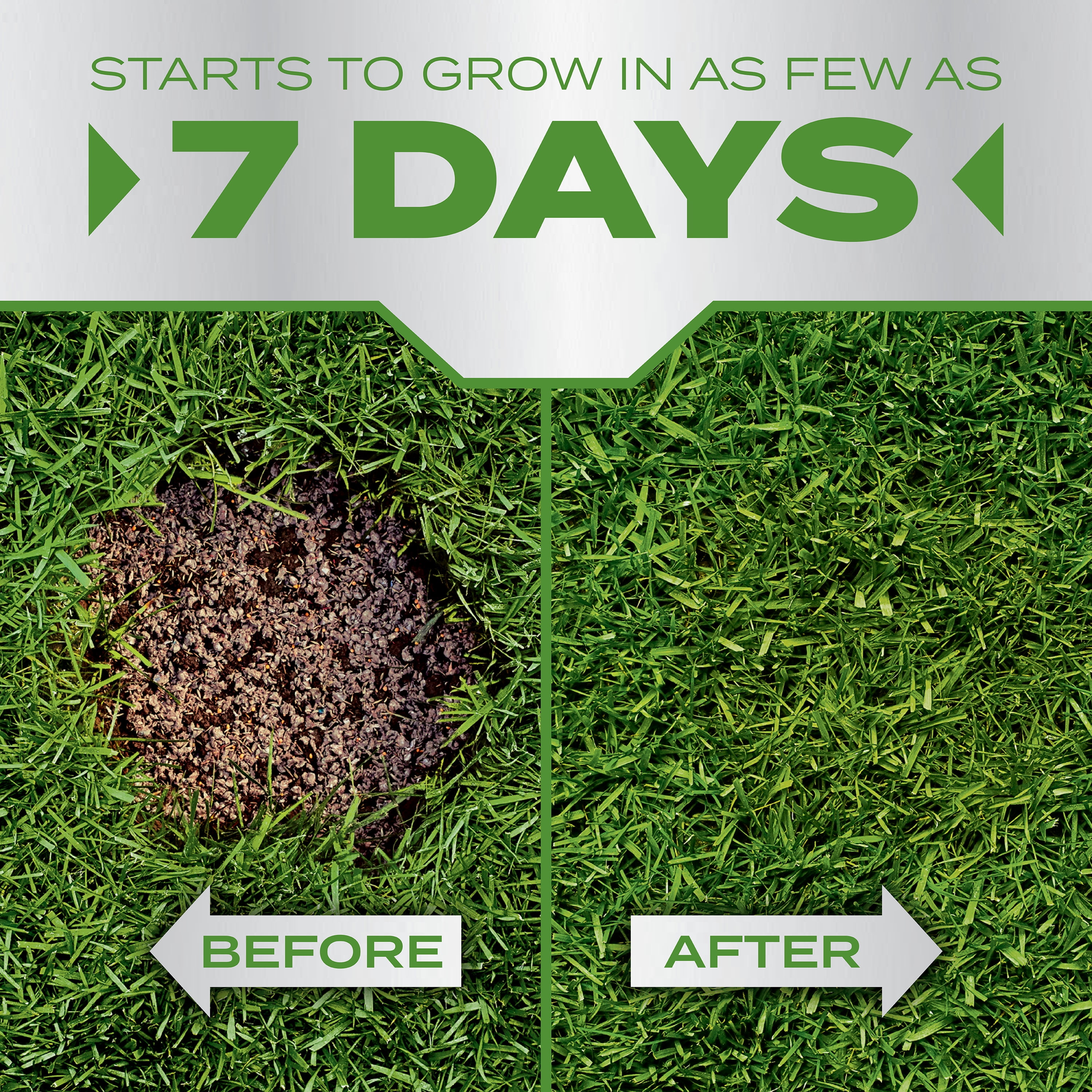 Scotts PatchMaster Lawn Repair Mix Tall Fescue Mix, 10 lbs.