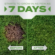 Scotts PatchMaster Lawn Repair Mix Tall Fescue Mix, 4.75 lbs.