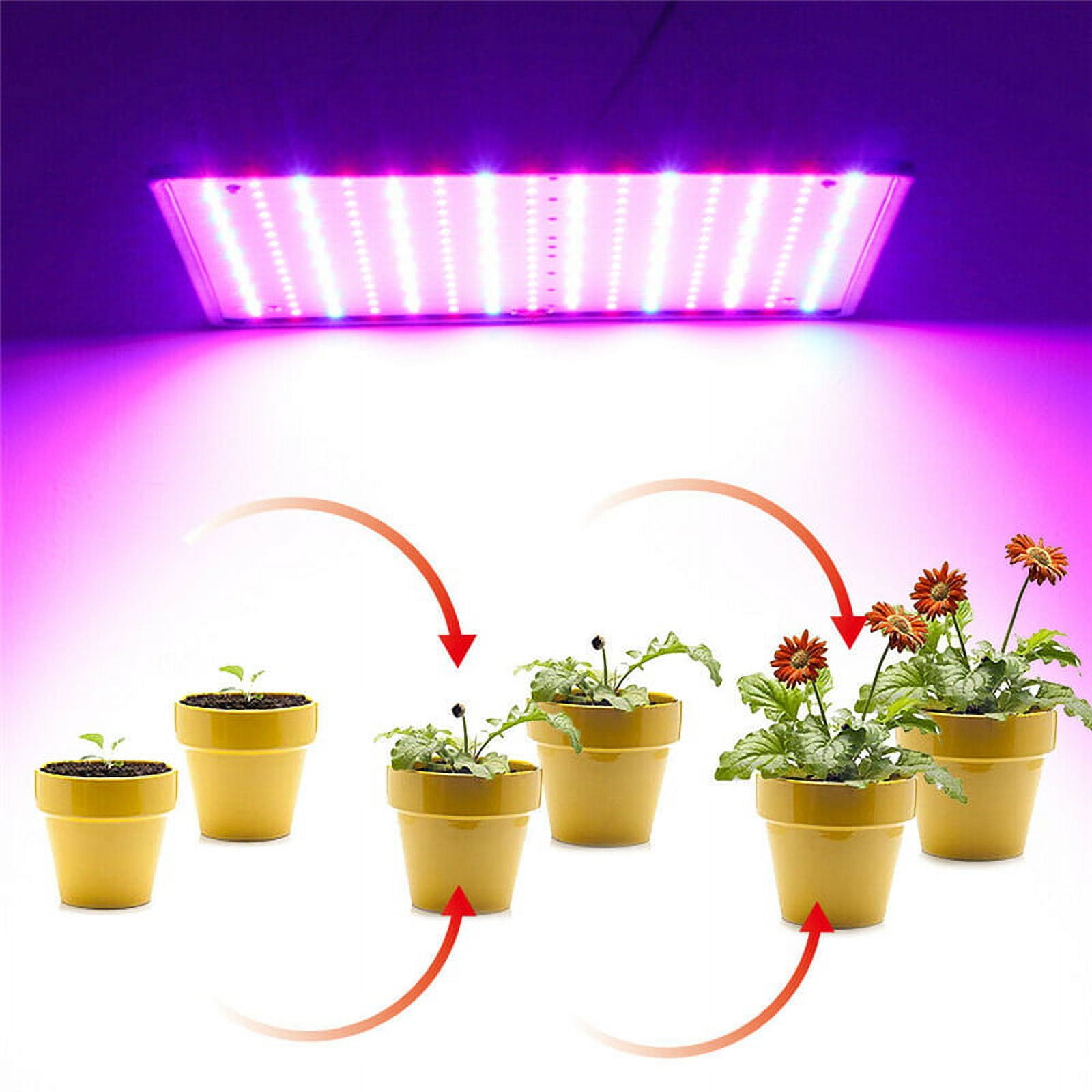 1000W LED Plants Grow Light 225 LED Indoor Plant Full Spectrum Light Grow  Lamp