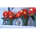 thumbnail image 5 of 12 Inch High LED Lighted Artificial Red Christmas Potted Poinsettia Plant, Battery Operated with Timer, 5 of 6