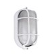 thumbnail image 1 of Oval Bulkhead Lamp With Wire Guard And Glass Diffuser, 60 W(1pcs,white, 1 of 4