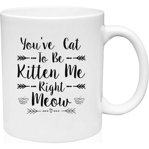 Coffee Mug You've Cat to be Kitten Me right Meow Funny White Coffee Mug Funny Gift Cup