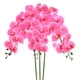 thumbnail image 1 of Uxcell 3-Pack Flores de Orquídea Artificial 9 Pétalos Grandes 37 Pulgadas Ramo de Seda Phalaenopsis Rojo Rosa Orquídeas Falsas para Hogar/Boda, 1 of 1